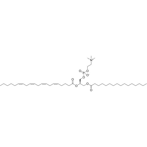 1-PalMitoyl-2-arachidoyllecithin 35418-58-7